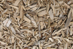 biomass boilers Shapridge